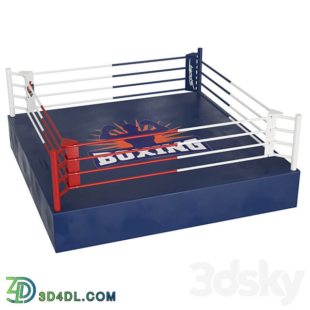 Boxing ring