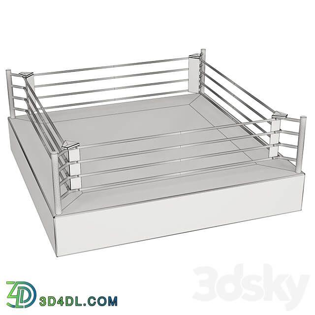 Boxing ring