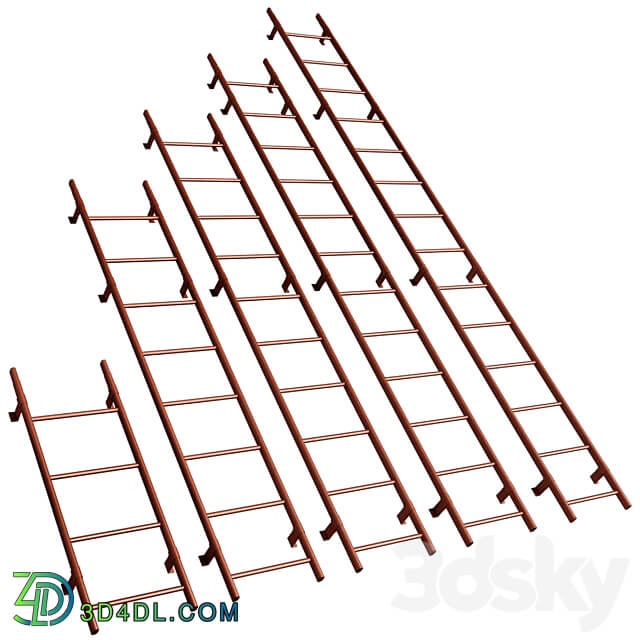 Roof ladder Roof safety system