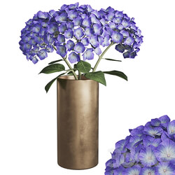 Hydrangea branches in a vase 02 