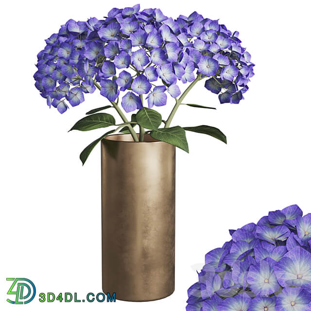 Hydrangea branches in a vase 02