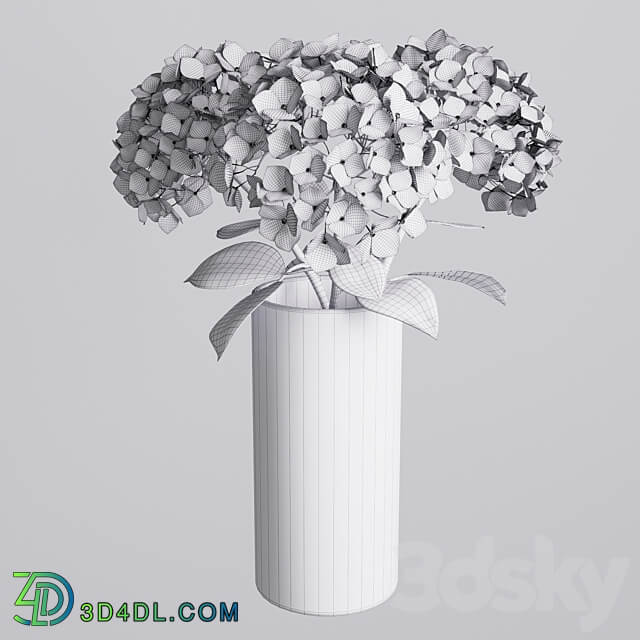 Hydrangea branches in a vase 02