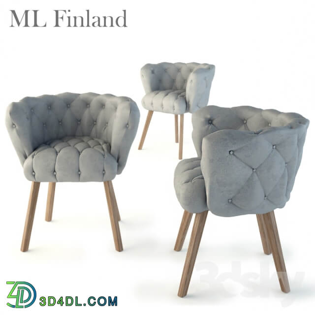 ML Finland Chaire