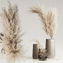 Dried Pampas Plant in Vases 