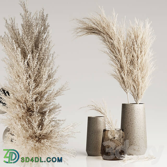 Dried Pampas Plant in Vases