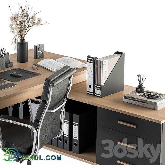 Office Furniture Manager Set 16