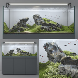 Aquascape aquarium 