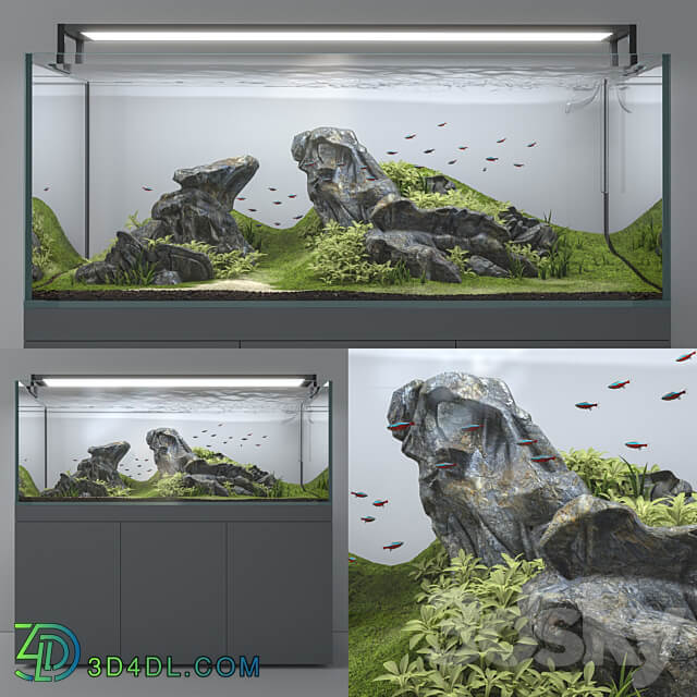 Aquascape aquarium