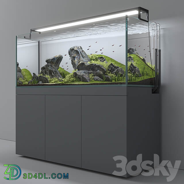 Aquascape aquarium