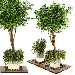 Outdoor Plants bush Tree Combination of wood concrete Pot Garden Set 45 