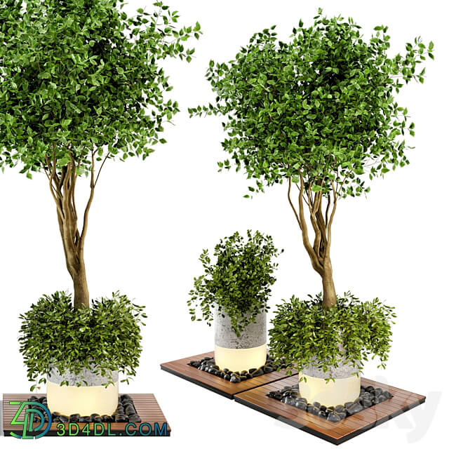 Outdoor Plants bush Tree Combination of wood concrete Pot Garden Set 45