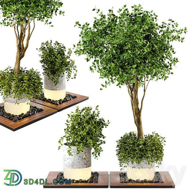 Outdoor Plants bush Tree Combination of wood concrete Pot Garden Set 45