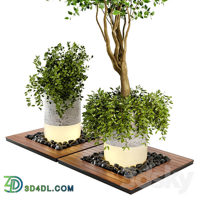 Outdoor Plants bush Tree Combination of wood concrete Pot Garden Set 45