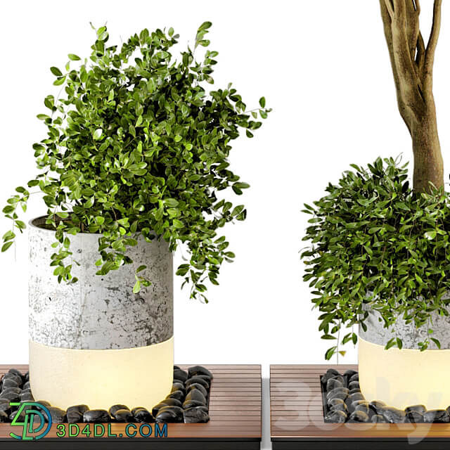 Outdoor Plants bush Tree Combination of wood concrete Pot Garden Set 45