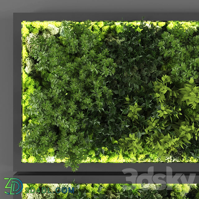 Fitowall Vertical garden 131