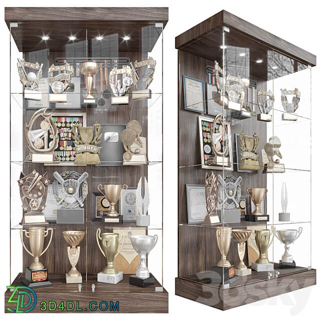 Wardrobe Display cabinets Award cabinet 2