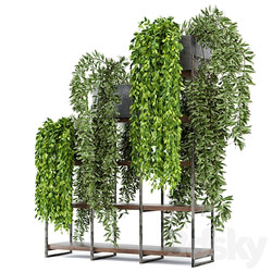 Indoor Plants in rusty Concrete Pot on Metal Shelf Set 53 