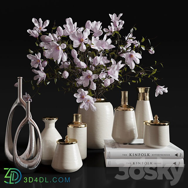 Decoration Set 30 Magnolia and Vases.