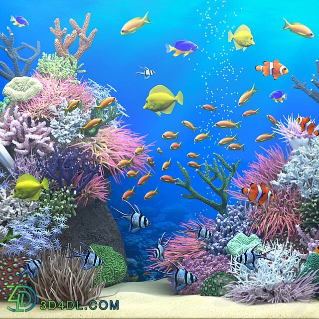 Seawater aquarium