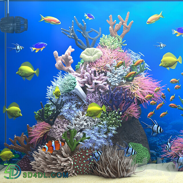 Seawater aquarium