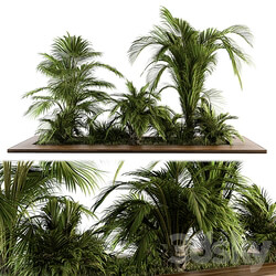 Outdoor Plants tree Tropical Garden Set 143 