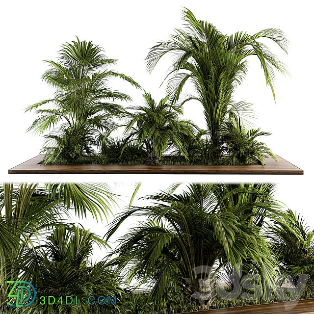 Outdoor Plants tree Tropical Garden Set 143