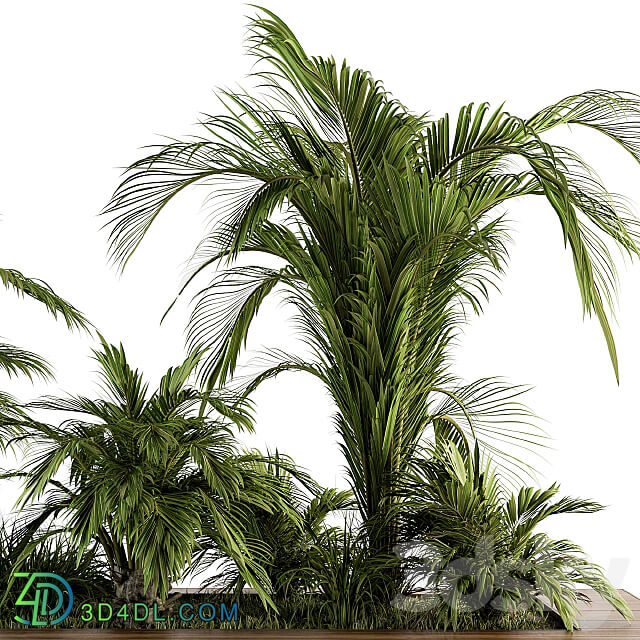 Outdoor Plants tree Tropical Garden Set 143