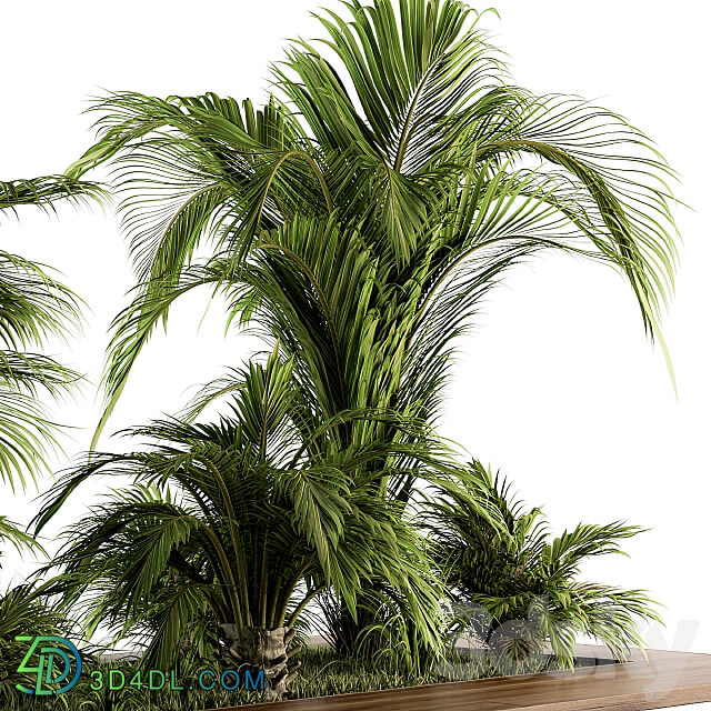 Outdoor Plants tree Tropical Garden Set 143