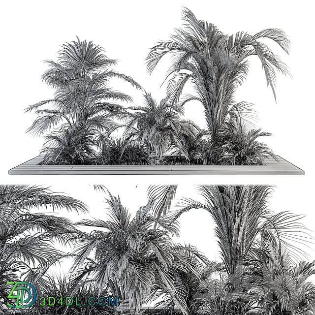 Outdoor Plants tree Tropical Garden Set 143