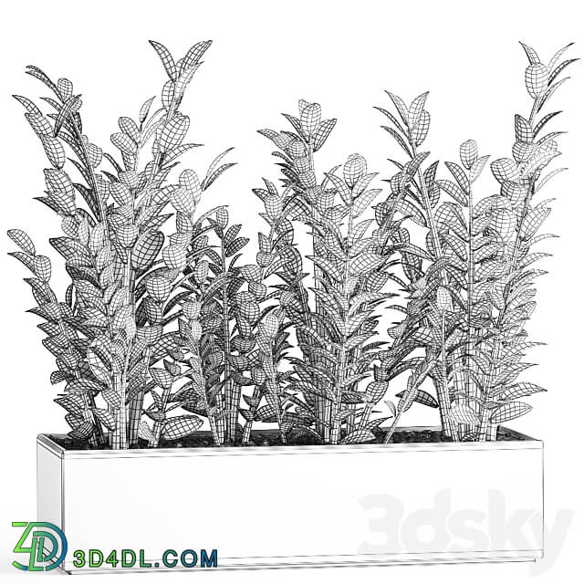 Plant collection 874. 3D Models