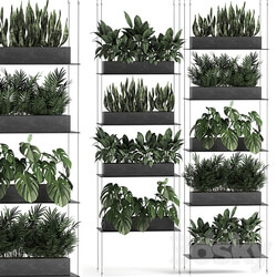 Vertical gardening. 64 Black shelf loft landscaping Monstera shelf with flowers phytowall phytomodule flower garden Fitowall 3D Models 