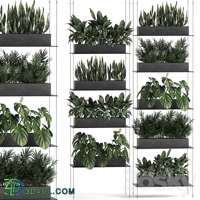 Vertical gardening. 64 Black shelf loft landscaping Monstera shelf with flowers phytowall phytomodule flower garden Fitowall 3D Models