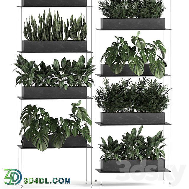 Vertical gardening. 64 Black shelf loft landscaping Monstera shelf with flowers phytowall phytomodule flower garden Fitowall 3D Models