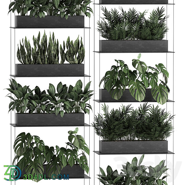 Vertical gardening. 64 Black shelf loft landscaping Monstera shelf with flowers phytowall phytomodule flower garden Fitowall 3D Models