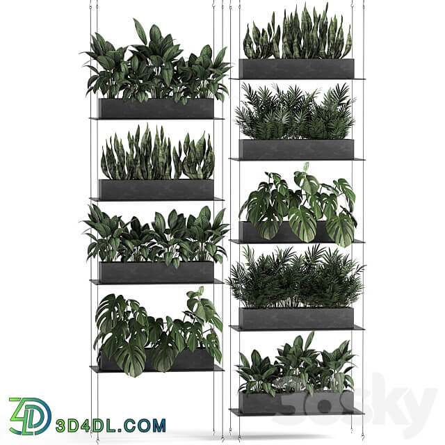 Vertical gardening. 64 Black shelf loft landscaping Monstera shelf with flowers phytowall phytomodule flower garden Fitowall 3D Models