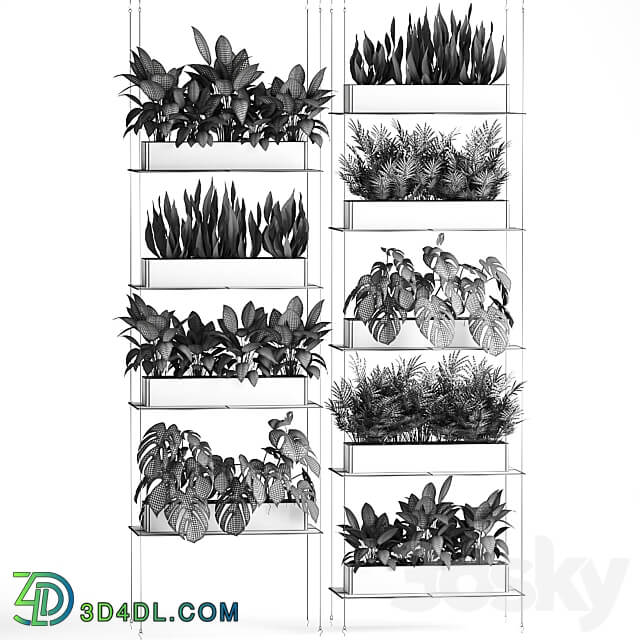 Vertical gardening. 64 Black shelf loft landscaping Monstera shelf with flowers phytowall phytomodule flower garden Fitowall 3D Models