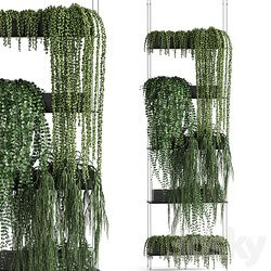 Vertical gardening. 65 Succulents climbing plants black shelf loft decor Groundsel phytowall phytomodule flower garden Senecio rowleyanus Pearls succulent Fitowall 3D Models 