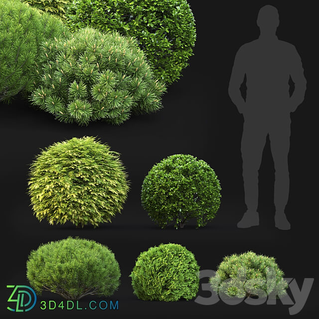 Plant set 3D Models