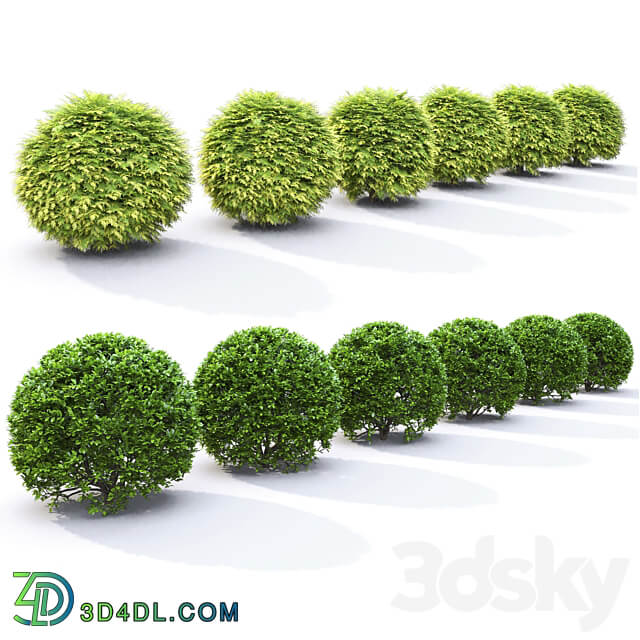 Plant set 3D Models