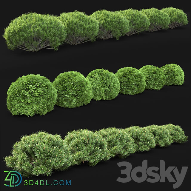 Plant set 3D Models