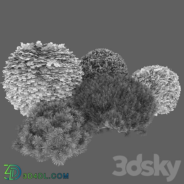 Plant set 3D Models