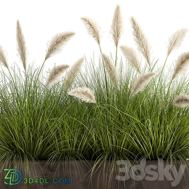 Plant collection 904. pampas grass flowerpot landscaping flowerbed rust industrial style 3D Models