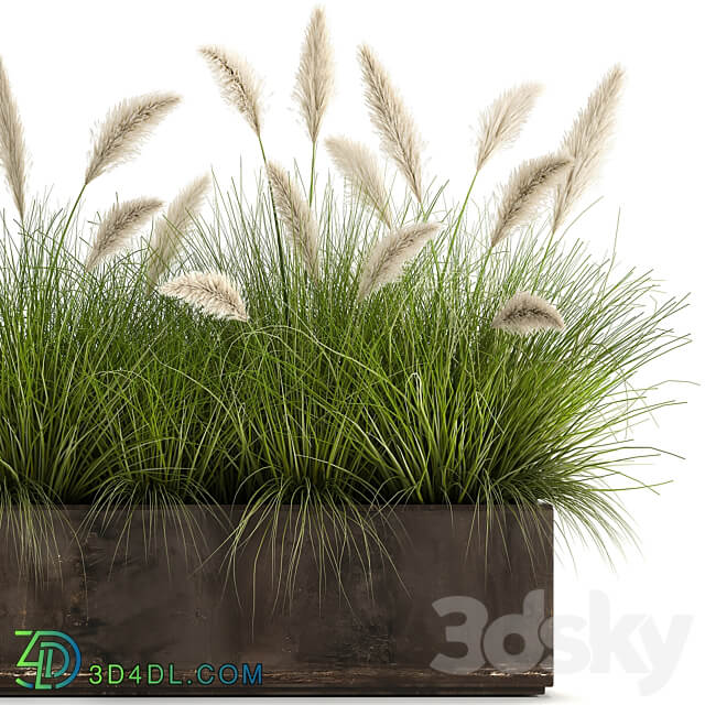 Plant collection 904. pampas grass flowerpot landscaping flowerbed rust industrial style 3D Models