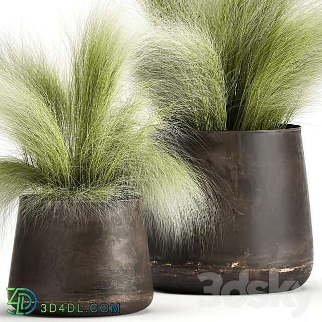 Plant collection 908. Stipa Tussock Feather grass grass bushes landscaping metal flowerpot rust industrial style 3D Models