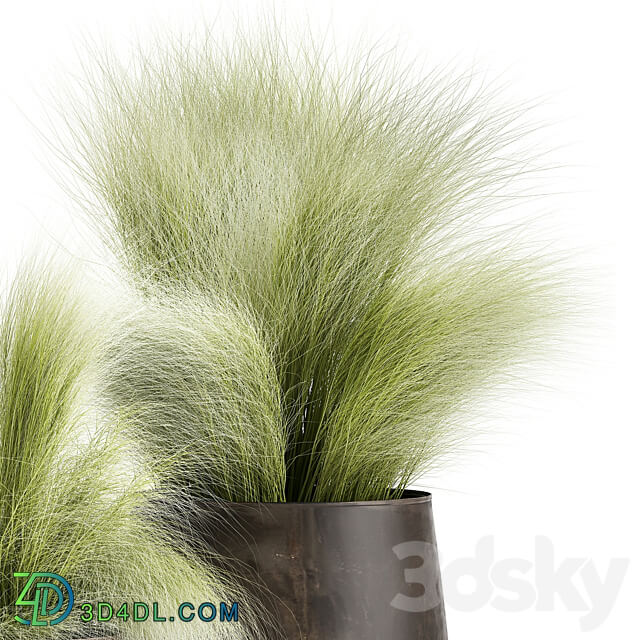 Plant collection 908. Stipa Tussock Feather grass grass bushes landscaping metal flowerpot rust industrial style 3D Models