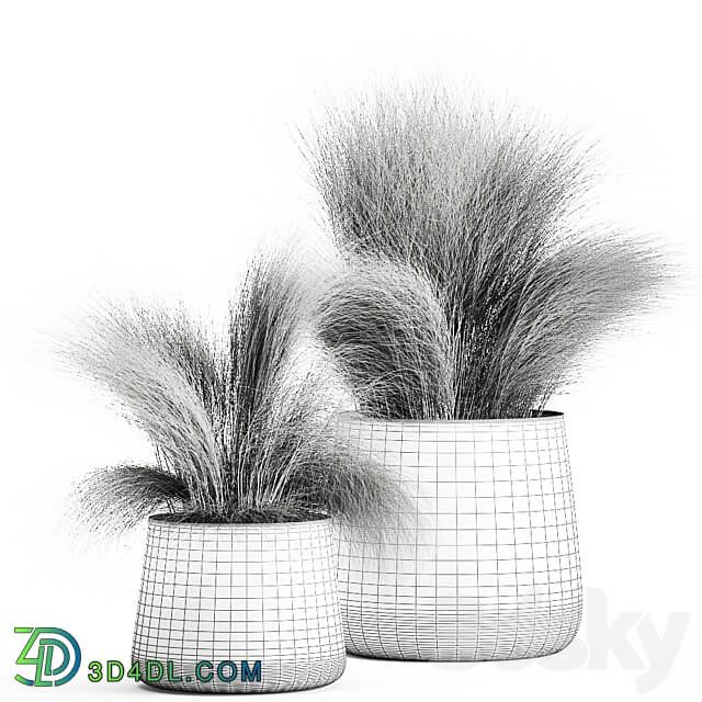 Plant collection 908. Stipa Tussock Feather grass grass bushes landscaping metal flowerpot rust industrial style 3D Models