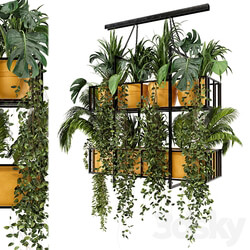 Indoor Hanging Plants in Metal Box Set 103 