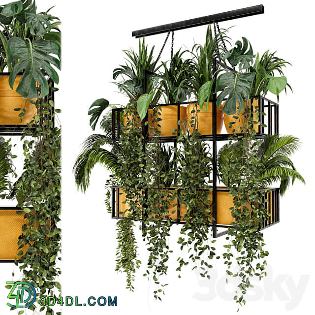 Indoor Hanging Plants in Metal Box Set 103