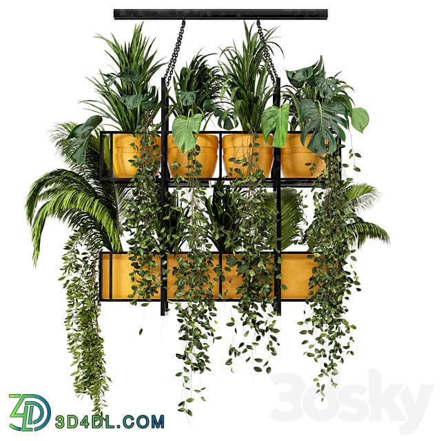 Indoor Hanging Plants in Metal Box Set 103