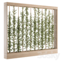 Fitowall Vertical Garden Wood Frame Plants Partition 22 